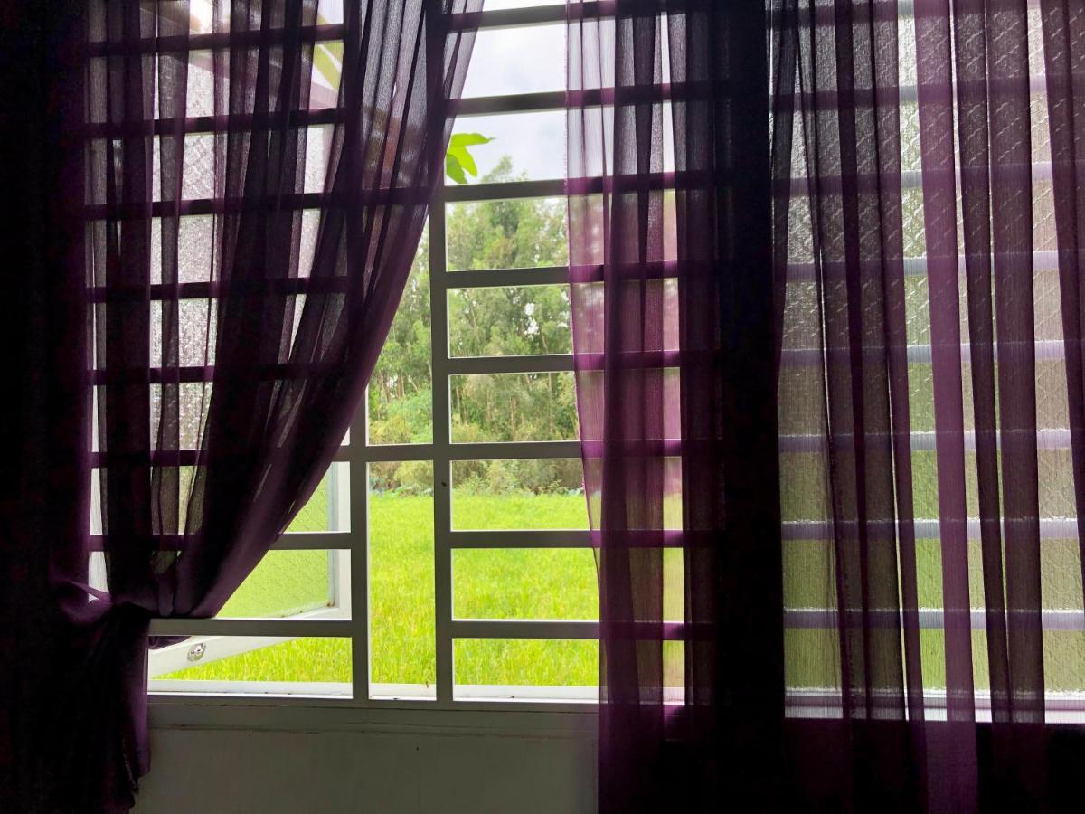 Huong Tram Homestay Ho Da Zewnętrze zdjęcie
