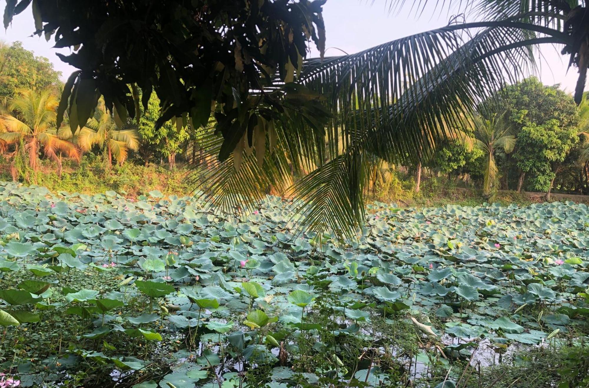 Huong Tram Homestay Ho Da Zewnętrze zdjęcie