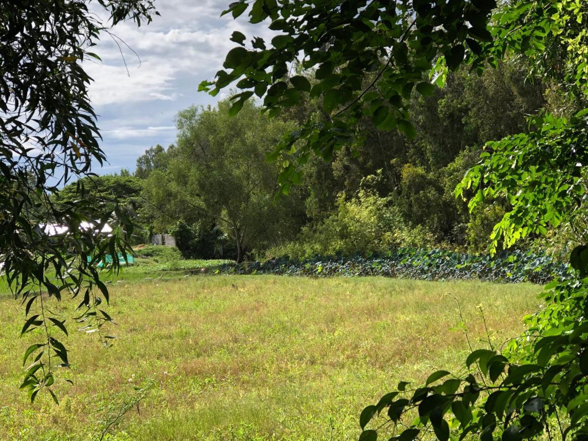 Huong Tram Homestay Ho Da Zewnętrze zdjęcie