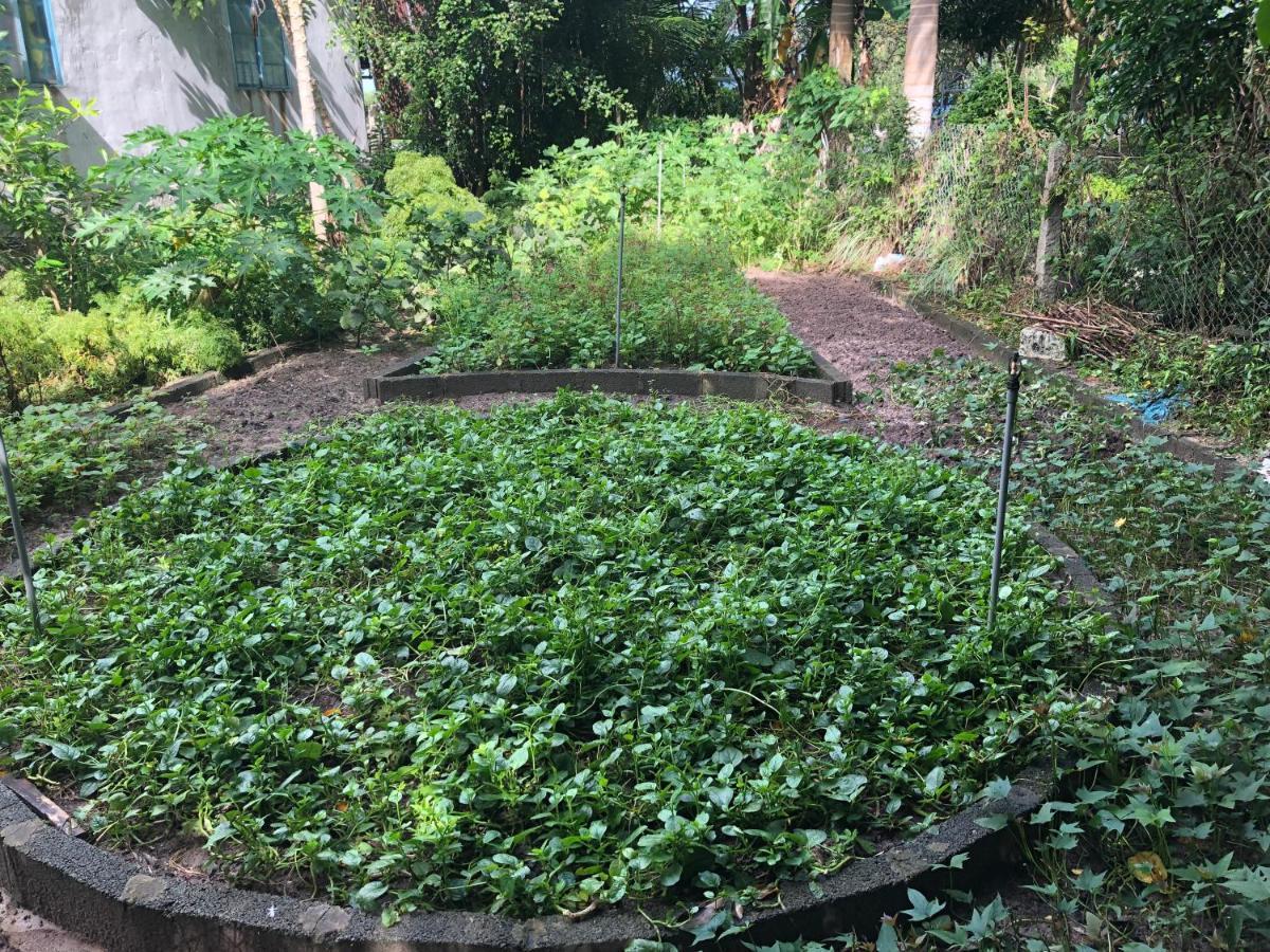 Huong Tram Homestay Ho Da Zewnętrze zdjęcie
